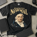 Perfectly Normal Shirt — Black Comfort Colors 1717 flat lay